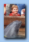 dolphin tom   119 KB